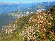 MONTE GIOCO (1366 m) da Spettino Alto di S. Pellegrino Terme il 19 settembre 2025 - FOTOGALLERY